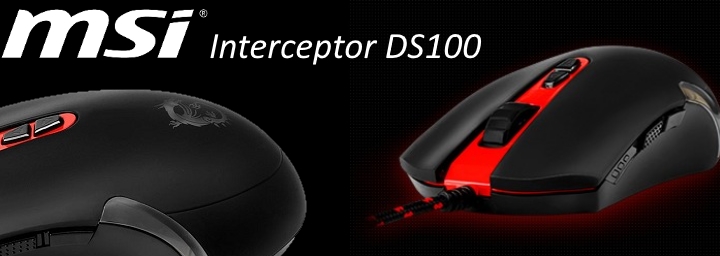 DS100-ban